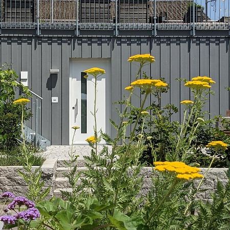 Haus Zur Aach Tinyhouse Βίλα Uhldingen-Mühlhofen Εξωτερικό φωτογραφία