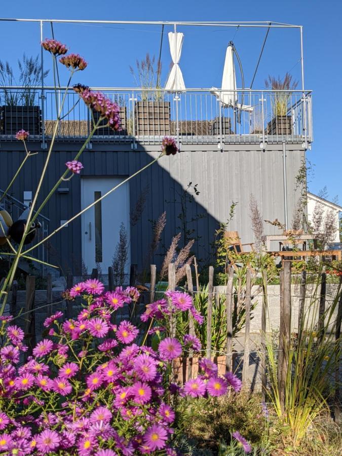 Haus Zur Aach Tinyhouse Βίλα Uhldingen-Mühlhofen Εξωτερικό φωτογραφία