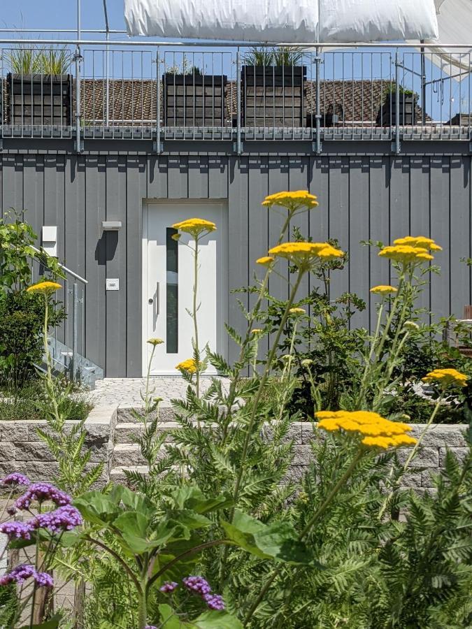 Haus Zur Aach Tinyhouse Βίλα Uhldingen-Mühlhofen Εξωτερικό φωτογραφία